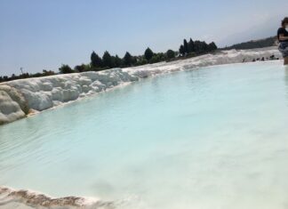 Fatih Sultan Mehmed ve Lorenzo de’ Medici