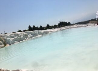 Leonardo da Vinci’nin Çizimi ve Osmanlı-Floransa İlişkileri