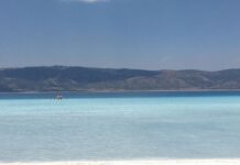 Osman Hamdi Bey’in Müzeciliğe Katkısı ve İlk Adımlar