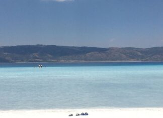 Osman Hamdi Bey’in Müzeciliğe Katkısı ve İlk Adımlar